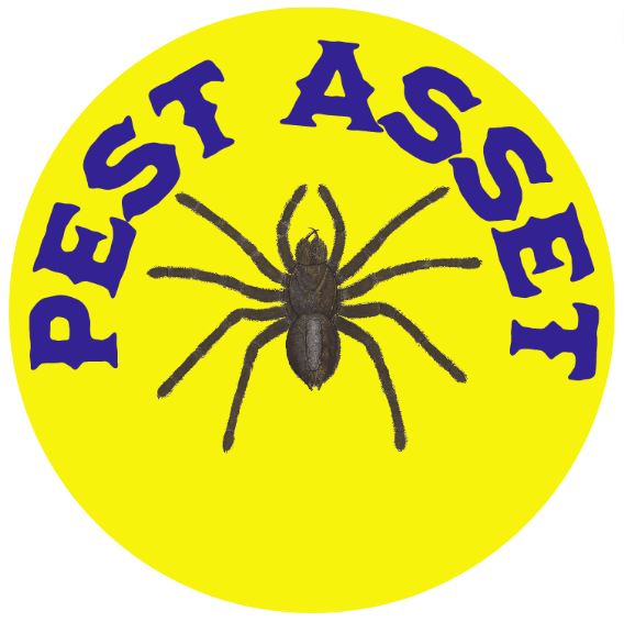 pest asset