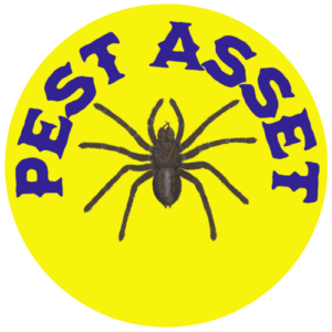 Pest Asset - Pest Control
