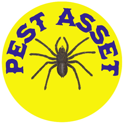 Pest Asset - Pest Control