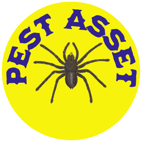 Pest Asset - Pest Control