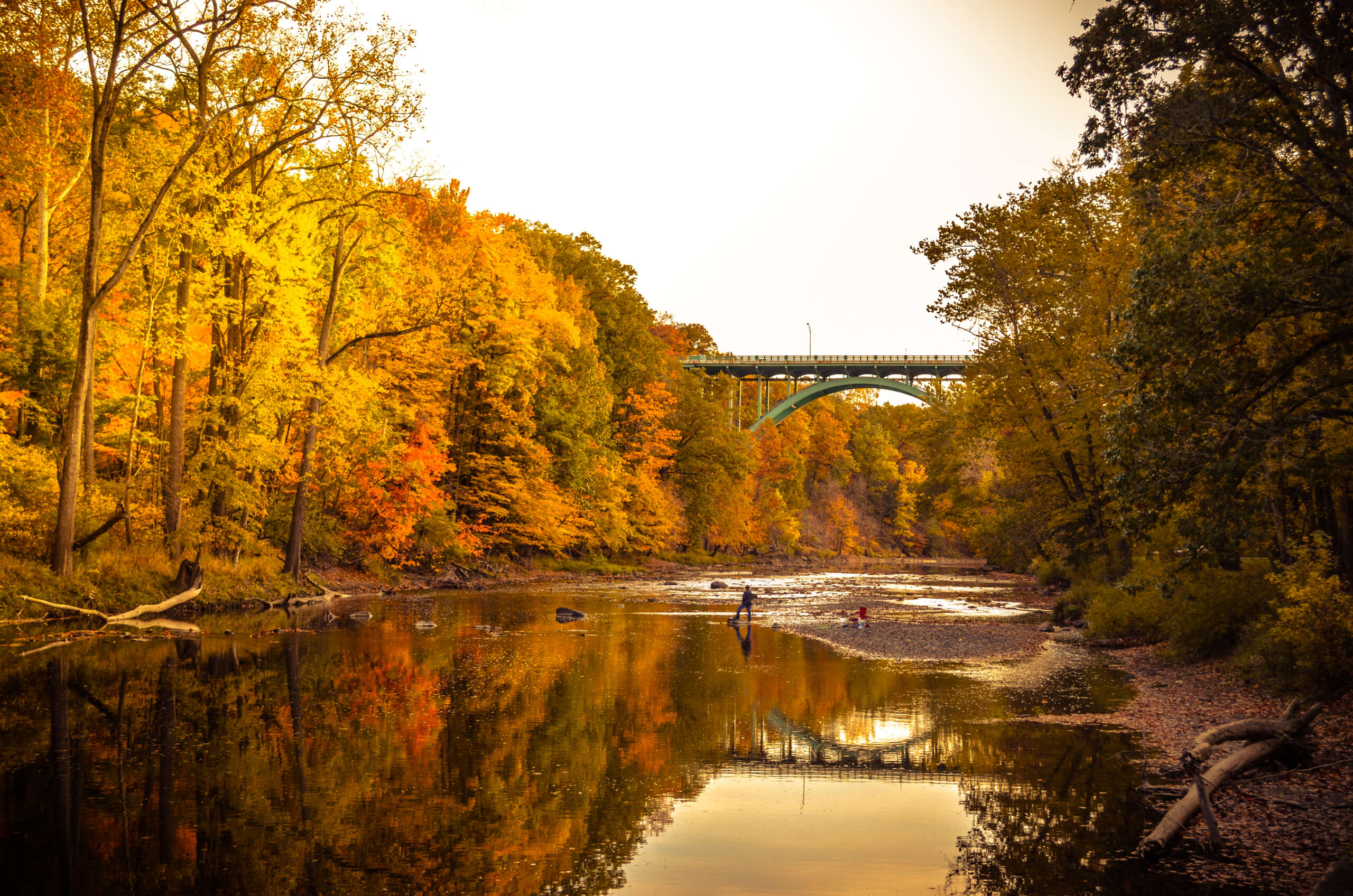 Rocky River Ohio Pest Control near me Pest Asset