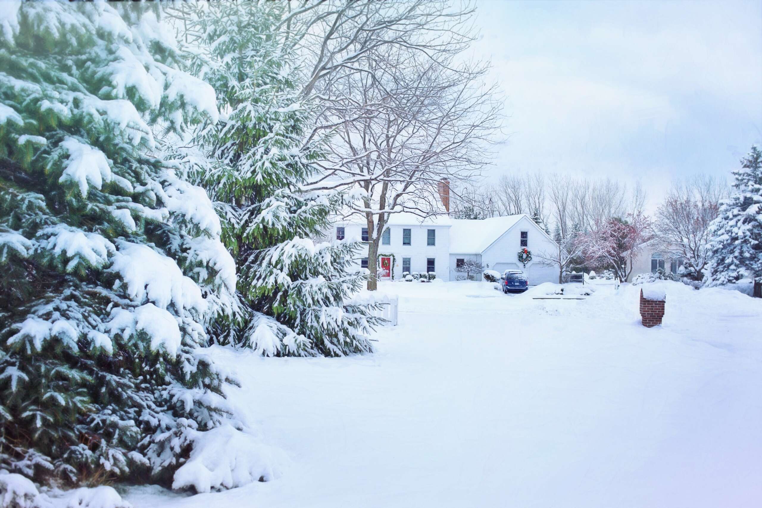 Winter's Creepy Crew: How to Outsmart the Critters Lurking in Your Northeast Home