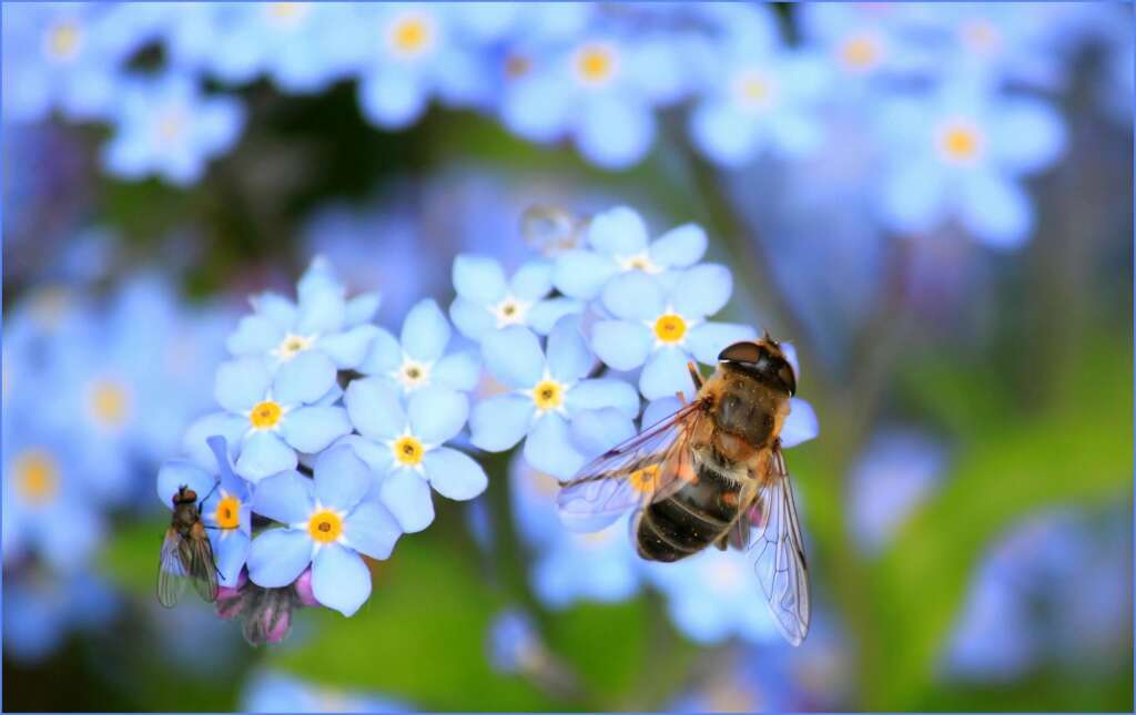 Going Green vs. Going Strong: Eco-Friendly Pest Control in Ohio (2024)