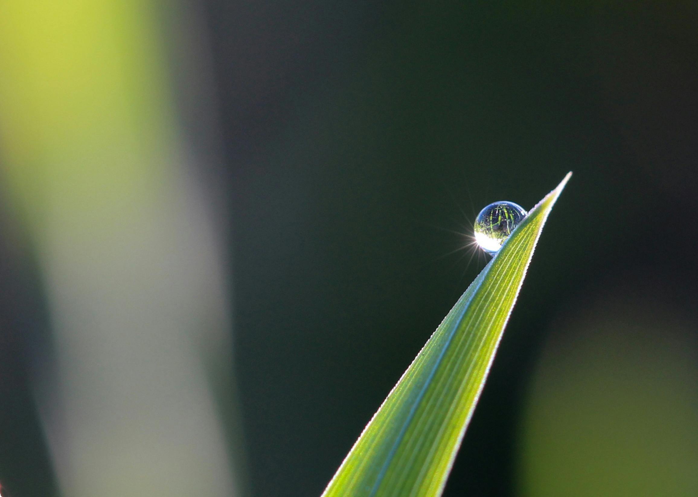 Summer Showers: How Rain Affects Ohio's Pesky Critters (and Your Pest Control!) Avon Lake