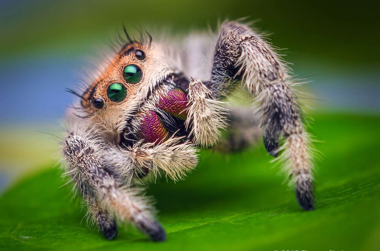 8570210309 7c540fec4a o min e1753984281866